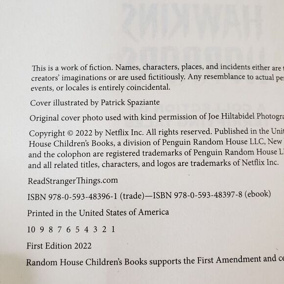 Stranger Things Hawkins Horrors HB Book Grade 3-7 Reader Scary Fiction Kids - Picture 6 of 8